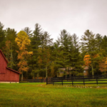 farm
